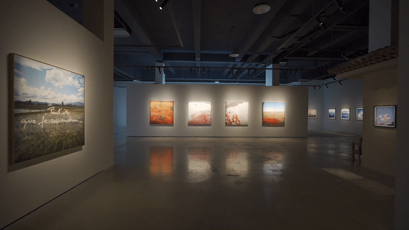 2022首届成都国际摄影周盛大启幕,一起打卡这场影像艺术盛宴