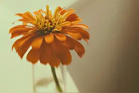 人与人之间最好的关系，就是“没关系”图片