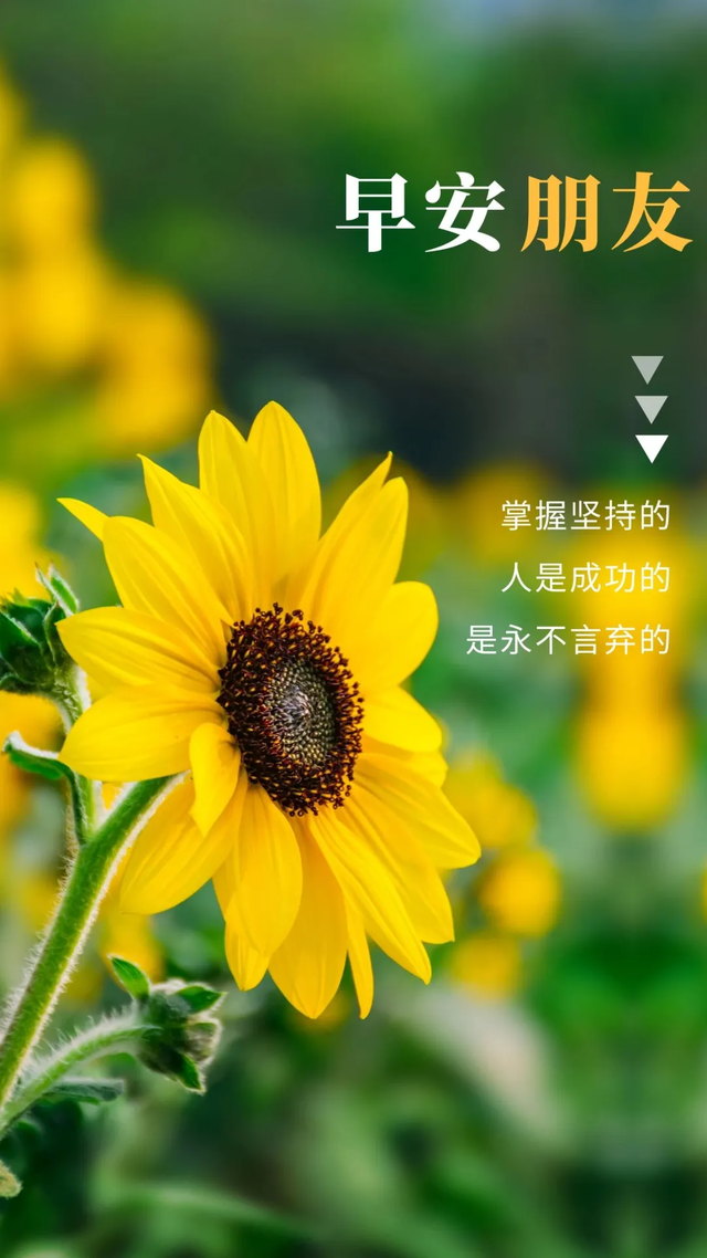 最近很火的女人励志语录图片 - 冷求网