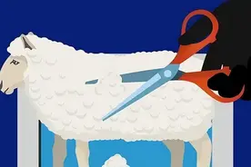 恶意“薅羊毛”，绍兴这对夫妻被抓图片