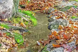 悬崖勿忘勒马，撞了南墙要回头。做人要学会变通图片