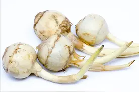 慈姑，不是姑姑也不是蘑菇，南方特色蔬菜，健康又美味，你吃过吗图片