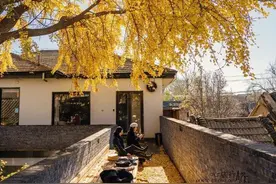 “院中有五树，子孙一直富”是啥意思？五树指什么，老祖宗的智慧图片