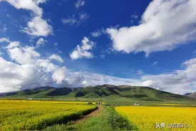 西宁附近露营地推荐图片