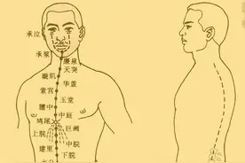 玫子科普：奇经八脉，阴维——胃痛的克星图片