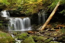 表达跳舞开心的句子：翩跹于音符中，舞动快乐的岁月图片