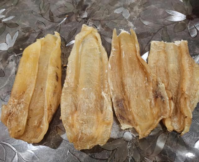 花胶 长胎 2026年花胶长胎快还是海参长胎快 花胶 长胎 2026年花胶长胎快还是海参长胎快