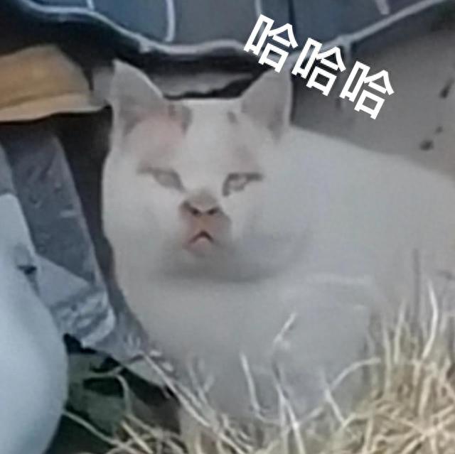 招行手机银行还款，10天完成提前还款什么意思 配图06