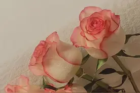 男人动情于你，才会让你看到，他的这些“小脾气”图片