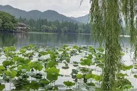 法海是西湖里乌龟成精因一个汤圆与白蛇结仇，为何许仙也被牵连？图片