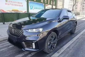 曾月销破2万辆，如今30天才卖28辆，魏派VV7为何面临停产？图片