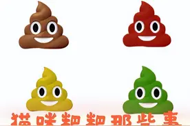 猫咪粑粑：这个猫拉屎的颜色有几种代表什么图片