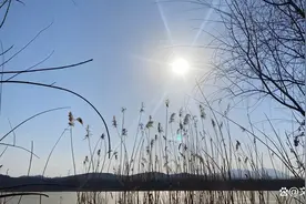 永新华韵，透视非遗大企的坚韧之路图片