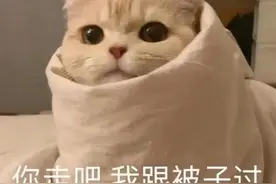 表情包｜起床了，打工人图片