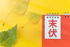 明日末伏，建议中老年人：别太心疼钱，多吃3种肉，为秋冬做准备图片