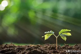 海韵教育丨义务教育新课程标准最全解读图片