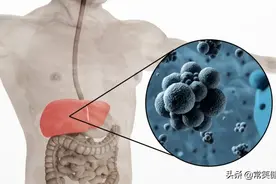 乙肝“大三阳”“小三阳”那些事，你了解多少？图片