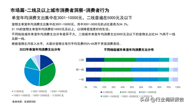 2022���й�������ҵ��չ���棨�����ߡ������ŵꡢ�г�����