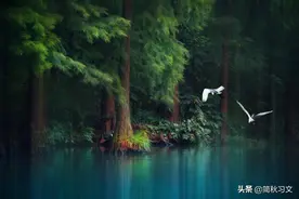 “偷得浮生半日闲”，唐代“李博士”李涉和他的千古名句图片