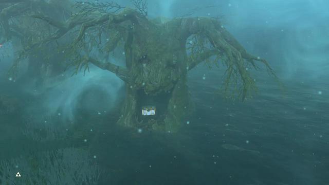 塞尔达传说之旷野之息全神庙位置（六）——森林之塔