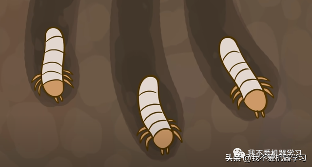 蜣螂算法(原理)