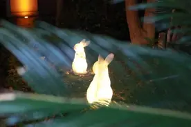 兔子、梅花鹿、独角兽……金山这条街上多了许多梦幻“小动物”！图片