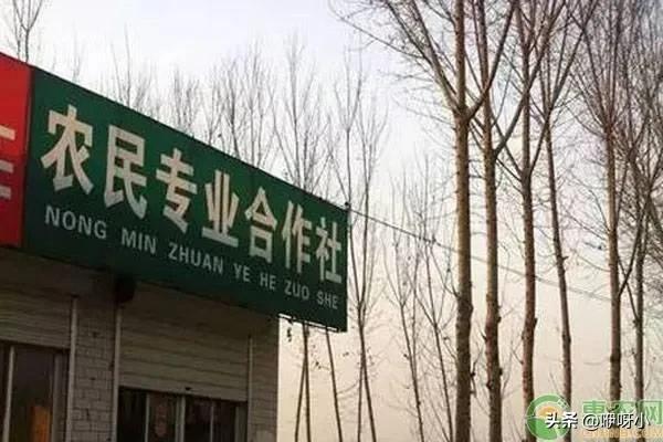 如何申请加盟农村供销社？