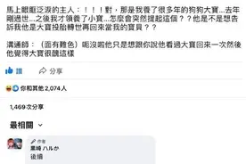 用土味情话在网上撩骚，哈哈哈谁来救救我的笑点图片