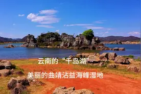 云南的“千岛湖”曲靖沾益海峰湿地图片
