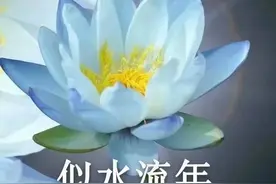 父母都爱用的微信头像｜岁月如歌 花好月圆图片
