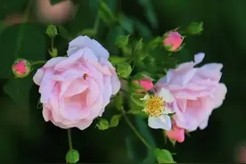 这是什么神仙地方啊？汉中这个宝藏地出圈又出片！图片