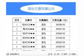 广西一车主拖欠路边停车费3.6万元，多地停车公司发布欠费名单并将起诉追缴图片