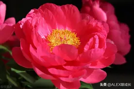 好女人旺三代，这3种女人，男人娶到了是天大的福气图片