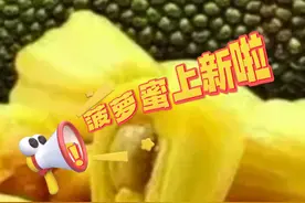 全国首批马来西亚菠萝蜜 在第20届东博会上亮相图片