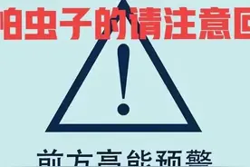 那些年，在农村夏天常见的虫子，你认识几个？图片