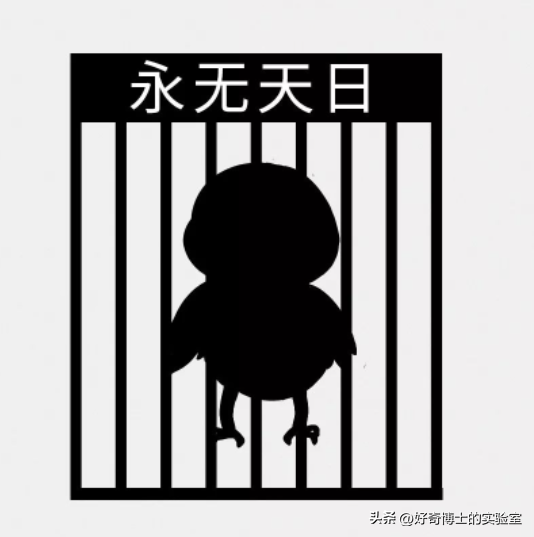 割不割包皮对男性究竟有啥影响？不割会怎么样？