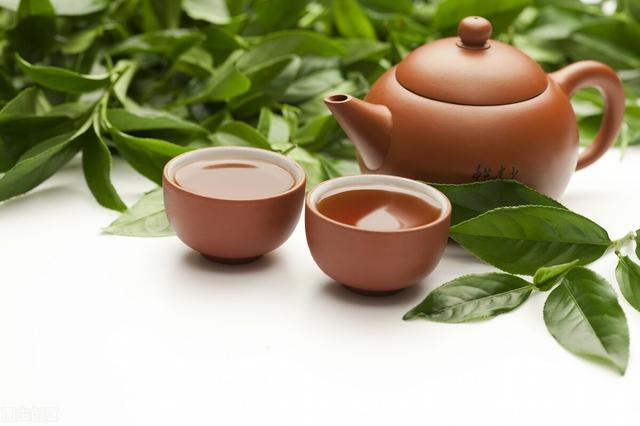 千万别小瞧了天天喝的茶，所有的树叶都能制茶吗？茶叶树叶的区别