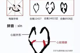 说文解字：心图片