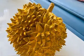 榴莲全身都是宝，吃剩的榴莲壳、榴莲核不要扔，这样做营养又解馋图片