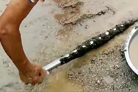 海滩边上“撸铁棒”，每天净赚上百元，严令禁止为何又死灰复燃？图片