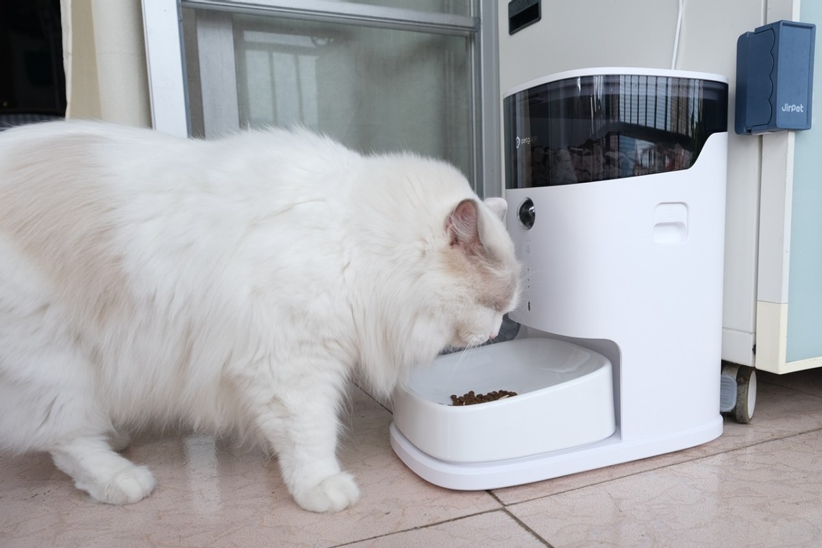 远程视频,科学投喂,宠咕咕宠物智能喂食器初体验