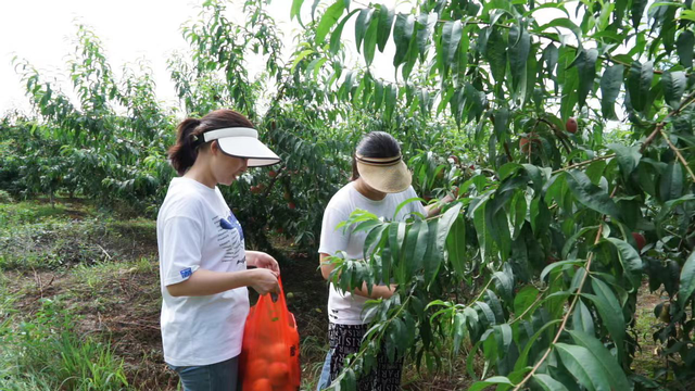 四川省民生研究会新媒体中心-官网