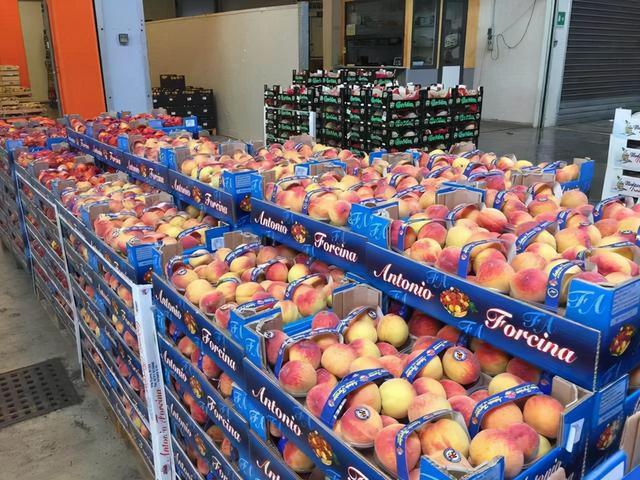 ��ȣ�ѧ����ɫũ��ƷƷ�Ƽ���Ӫ����������ƪ���¾͹���