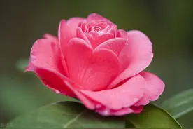 人老了，日子过得最苦的三种人，希望没有你图片