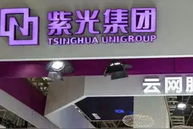 紫光集团高级副总裁张亚东来了已8年 赵伟国时代他的头衔是总裁图片