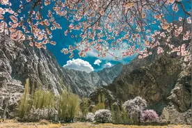 高甜！从头甜到尾的青梅竹马文，从小圈宠，双向奔赴图片