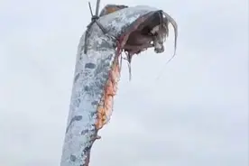 皇带鱼都敢捕？被誉为“灾难象征”的皇带鱼，真能预示灾难吗？图片