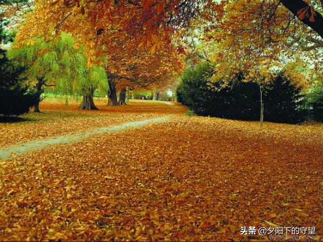 妞嶇墿鐢熺墿鍒烘縺绱犵殑甯歌鍒嗙被锛屼綘閮界煡閬撳悧锛? onerror=