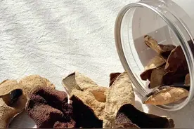 陈皮的四种冲泡方法，你平时喜欢哪种呢？图片