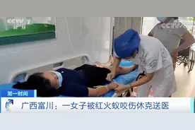 小心！这种蚂蚁，攻击性极强，有剧毒！被叮咬后或致死亡！有人已中招图片